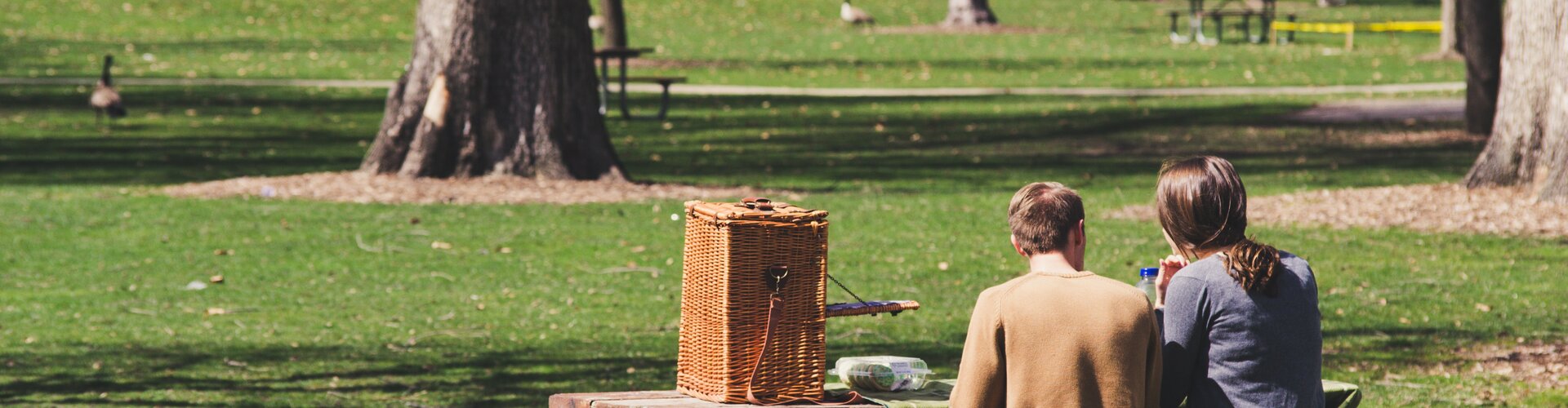 Aire de pique/repos sur la commune de la Cellette