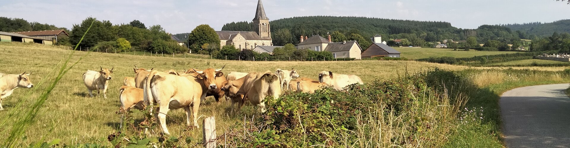 L'agriculture sur le commune de La Cellette 63 en Auvergne