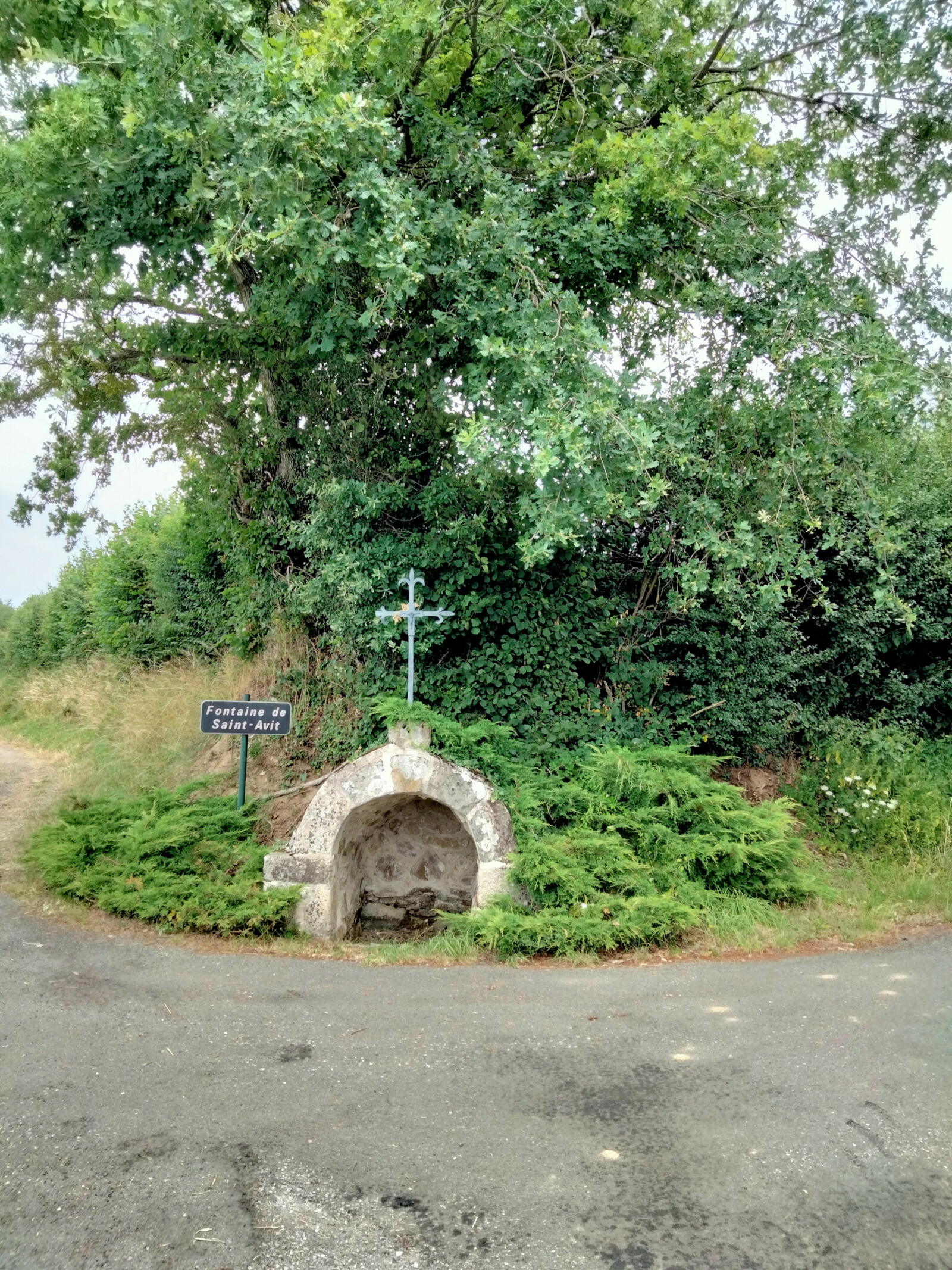 Description de l'image
